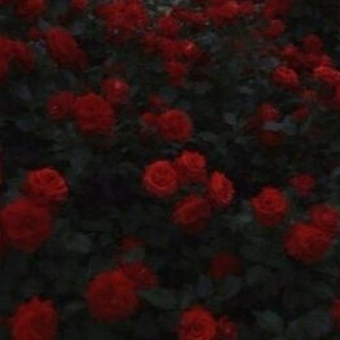 in circles (prod. skel)