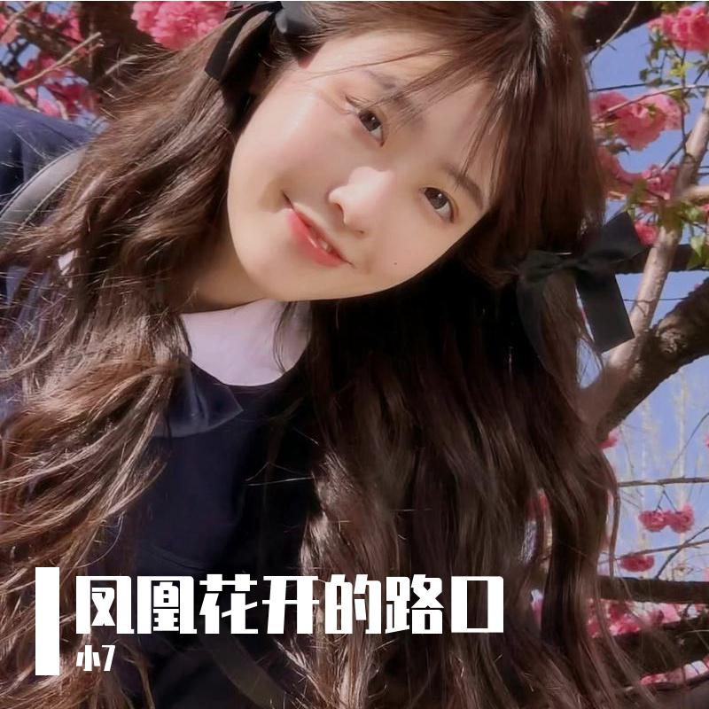 凤凰花开的路口