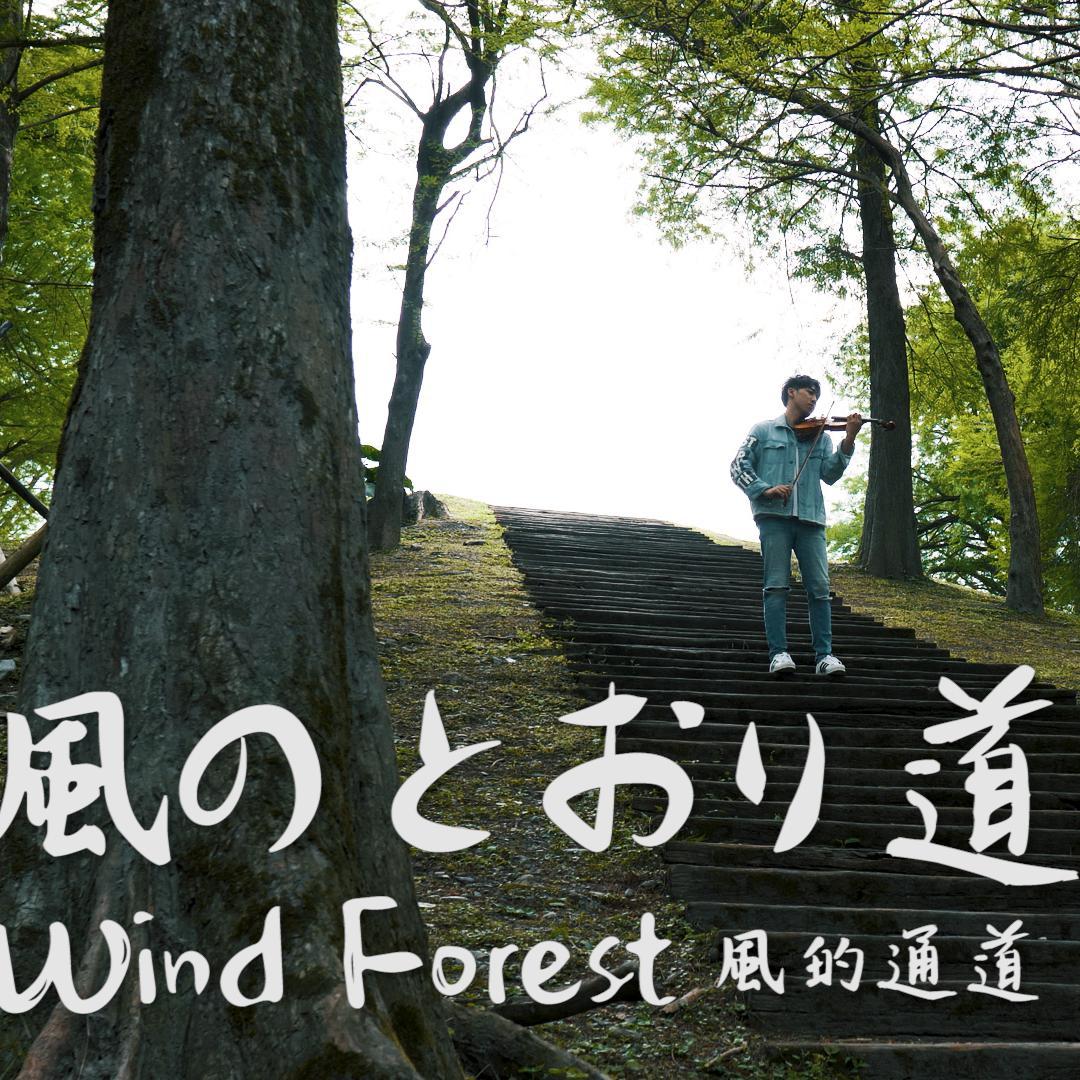 龙猫-风的通道/小提琴版