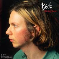 Beck - It's All In Your Mind (instrumental)