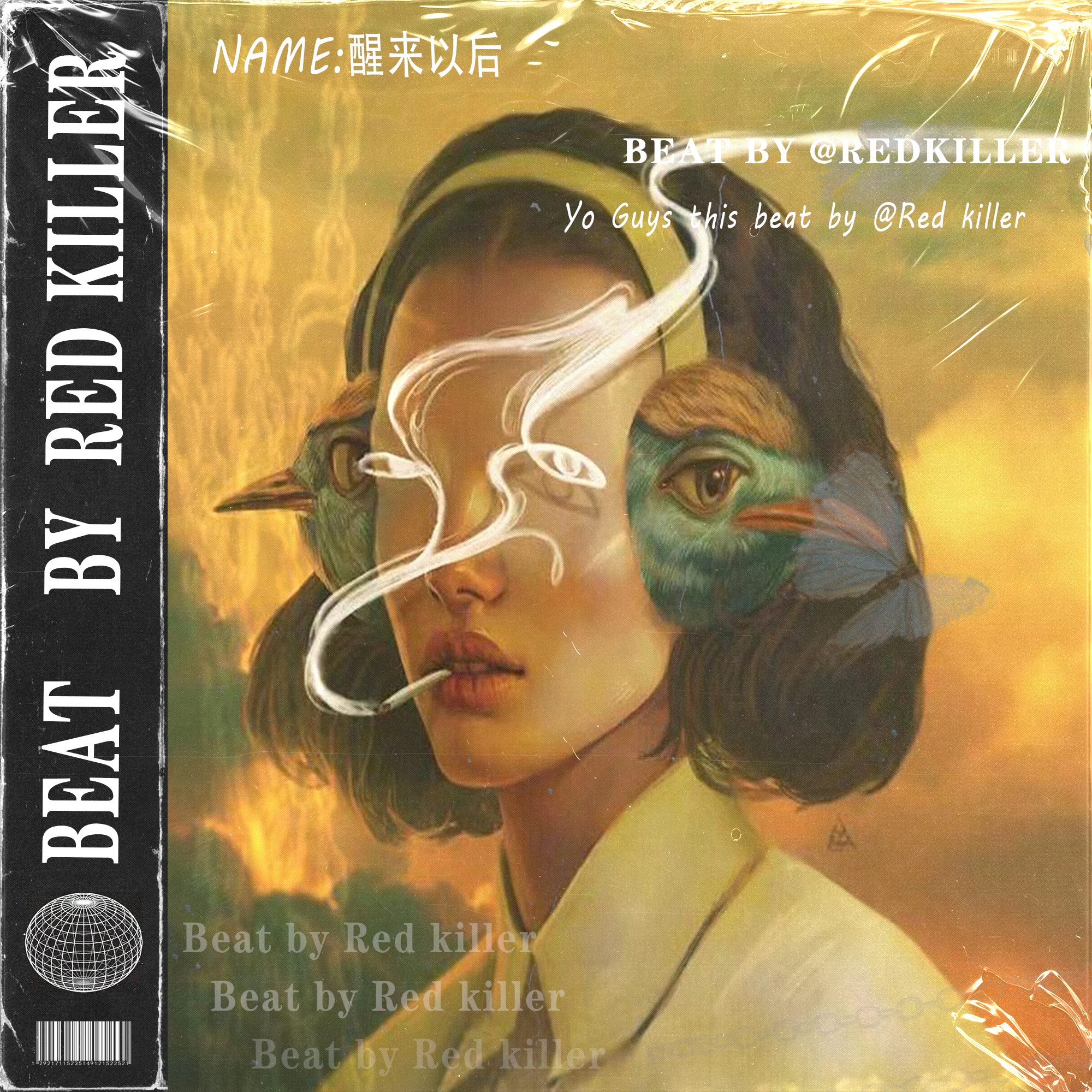 [FREE] 醒来以后(带vocal)