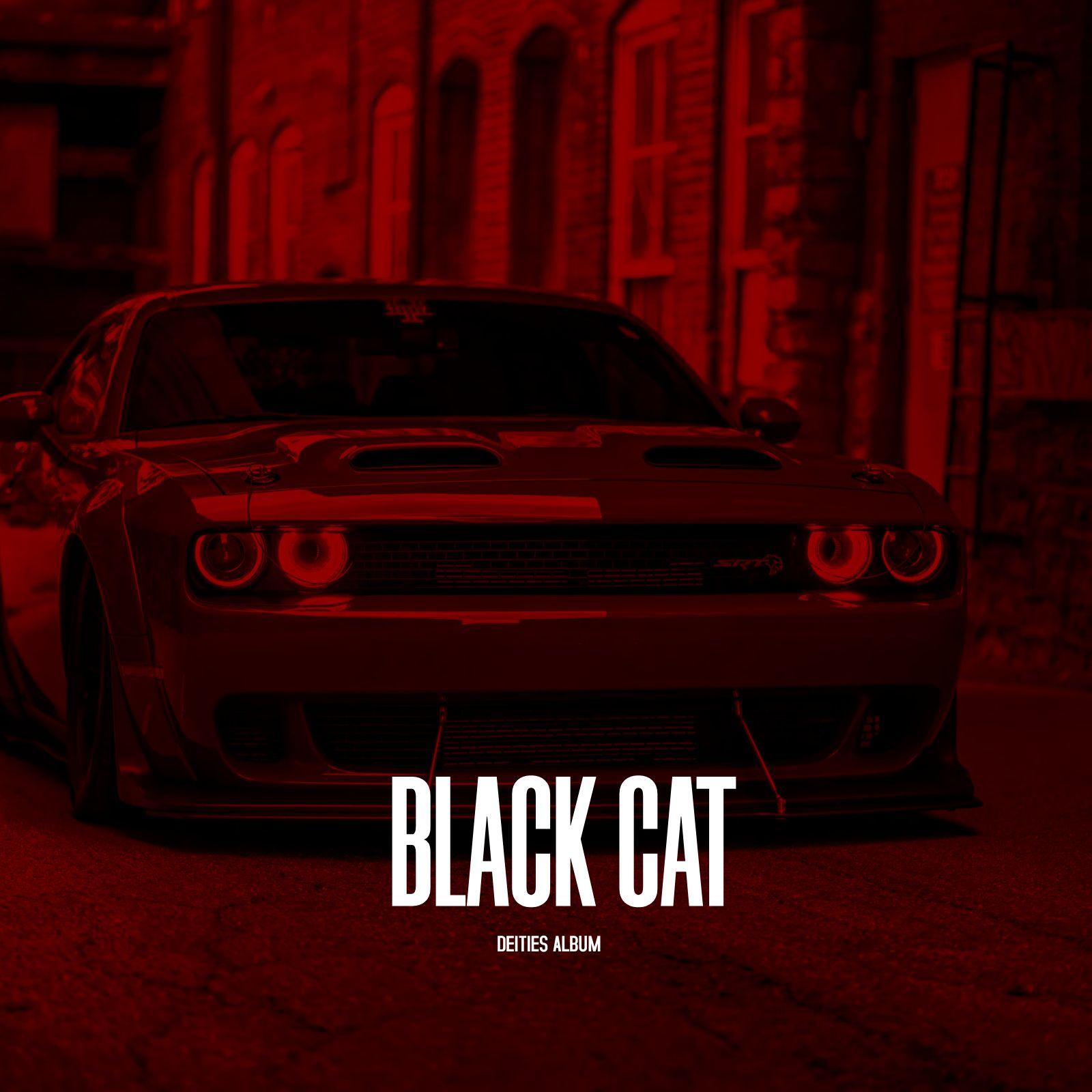 BLACK CAT专辑