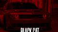 BLACK CAT
