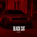 BLACK CAT专辑