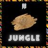 AB - Jungle (Official audio)