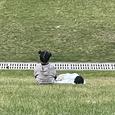 玩过饶舌却绕不过你