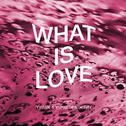 What is Love?专辑