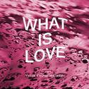 What is Love?