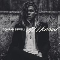 Conrad Sewell - Who You Lovin (Instrumental) 原版无和声伴奏