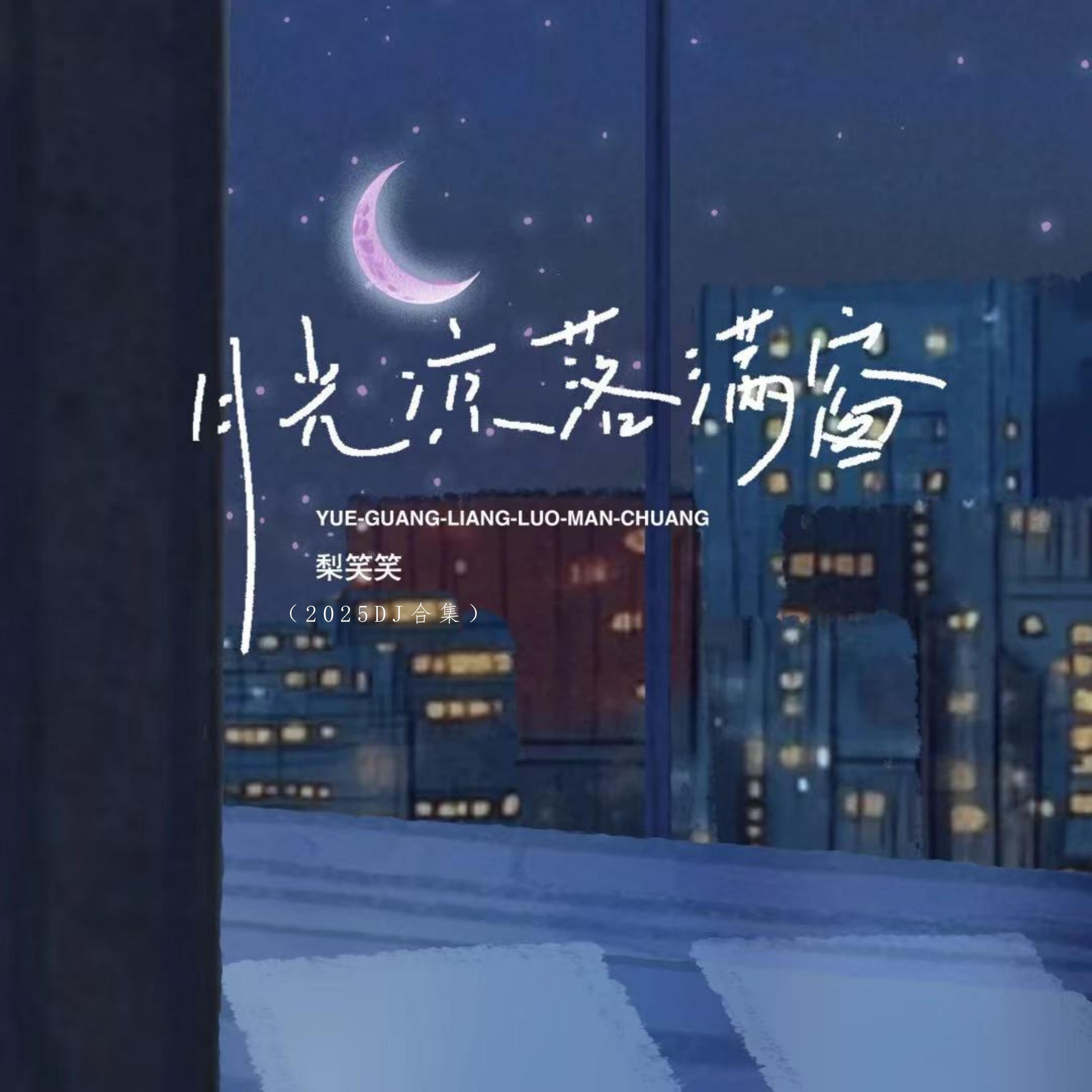 月光凉，落满窗（2025DJ合集）