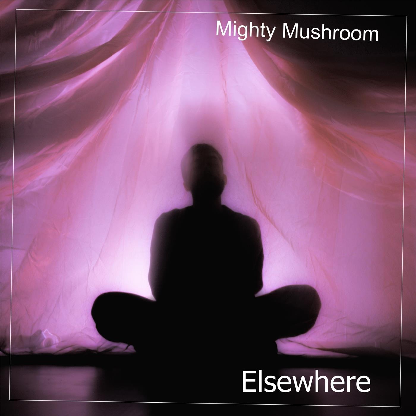 Mighty Mushroom - Elsewhere