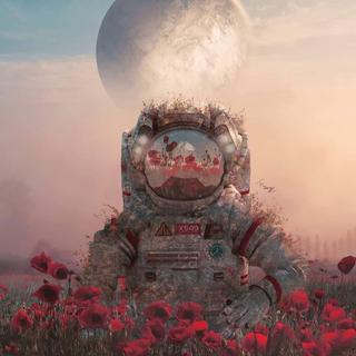 快手纯音乐 | 酥耳朵系列