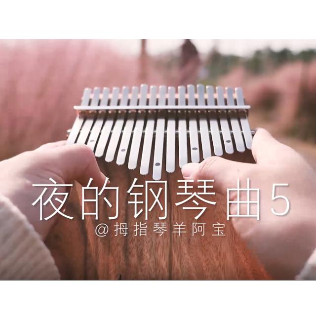 夜的钢琴曲五专辑