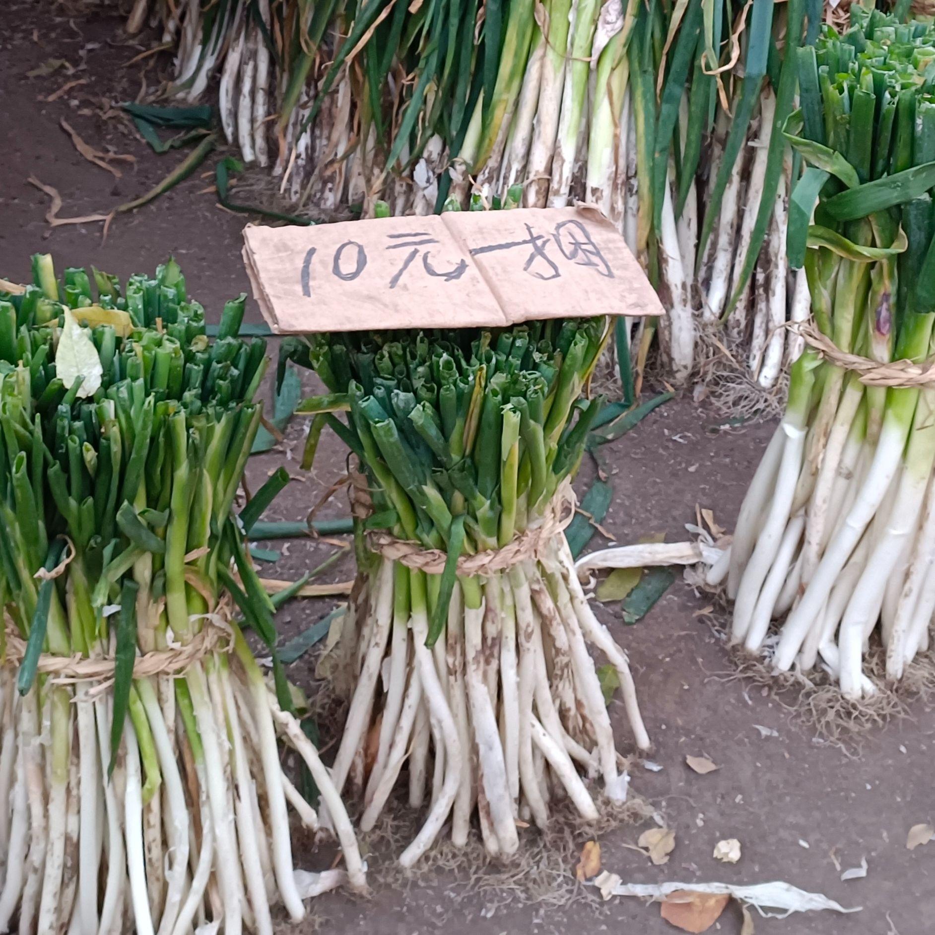 少管我！