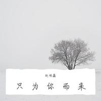 王子凌Vv-量身定做