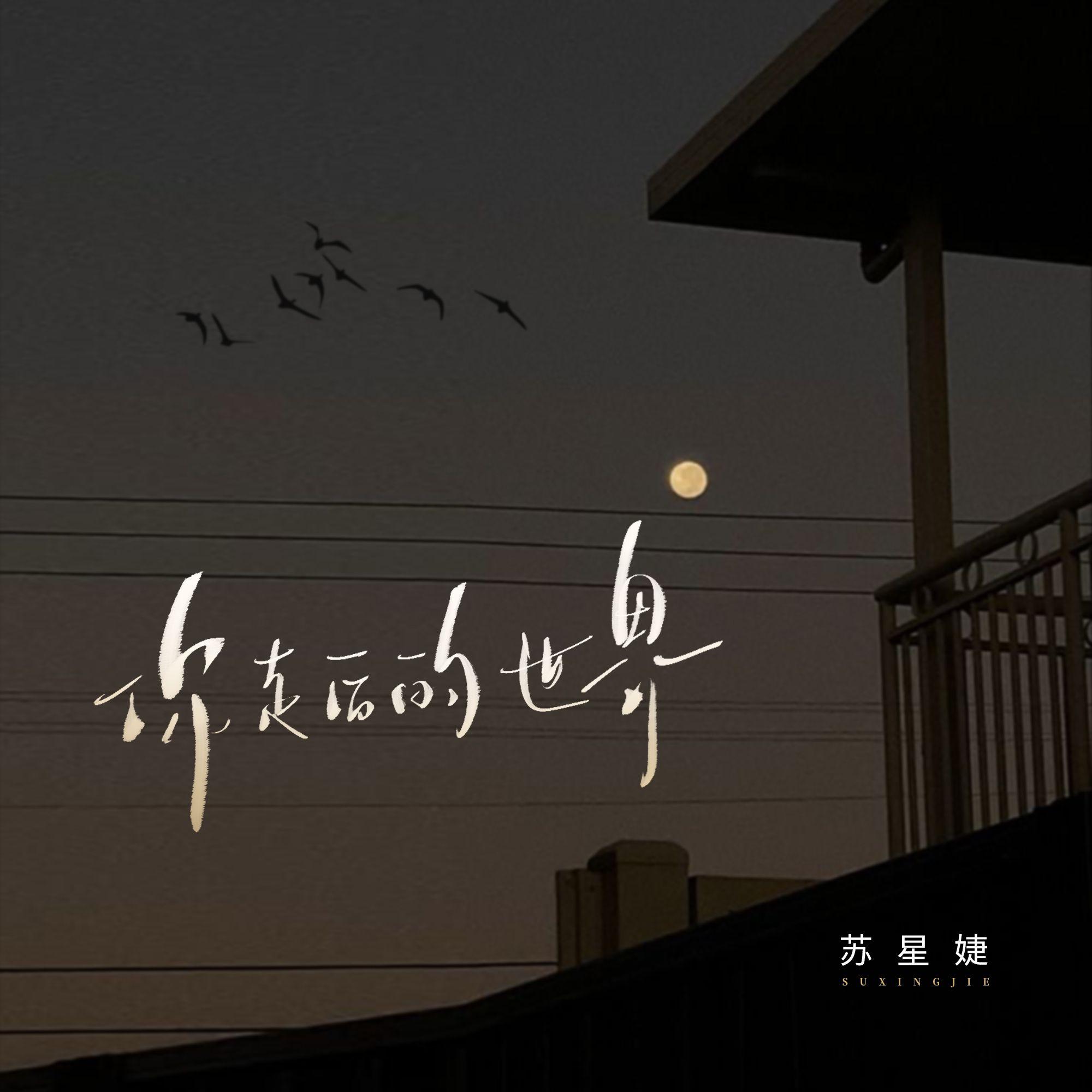 你走后的世界