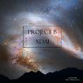 Project B