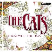 Vaya Con Dios - The Cats (Karaoke Version) 带和声伴奏