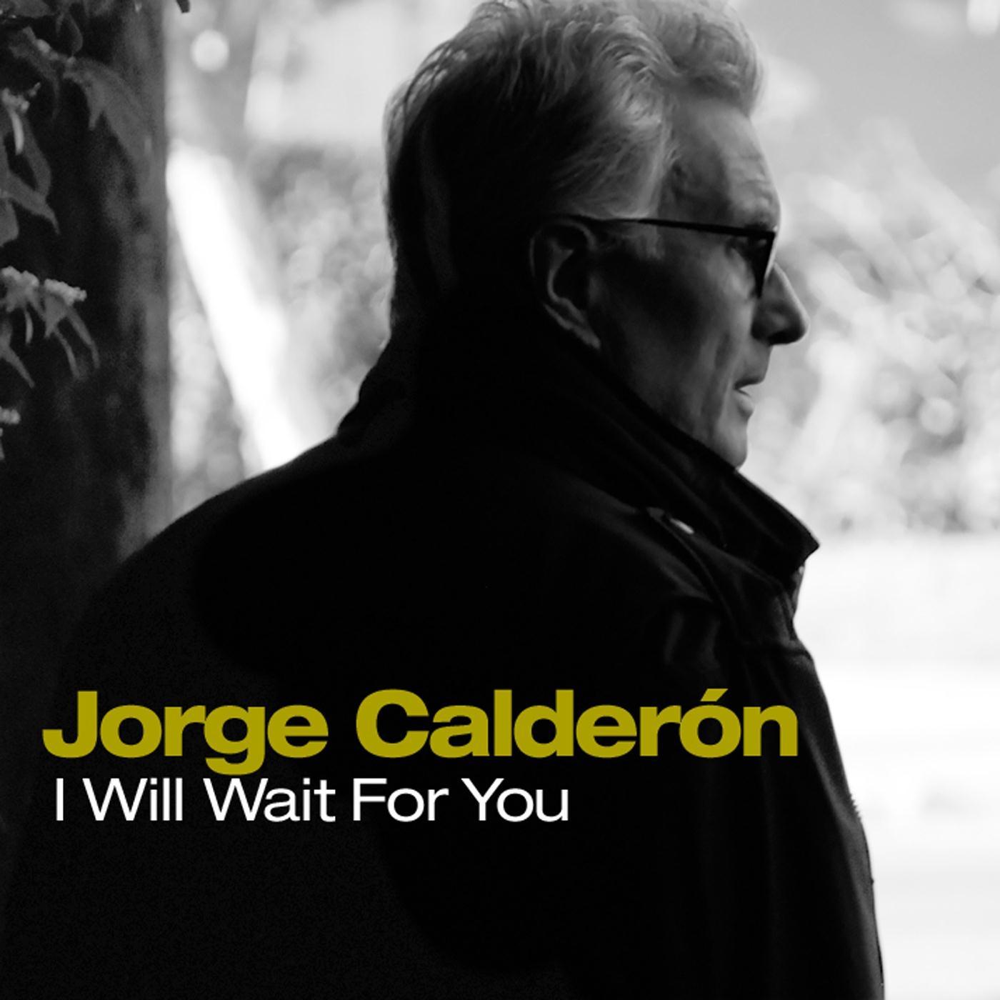 I Will Wait for You