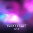 DJ何鹏舞曲精选集39