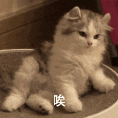 我的一个道姑朋友（念白版）
