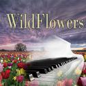 WildFlowers专辑