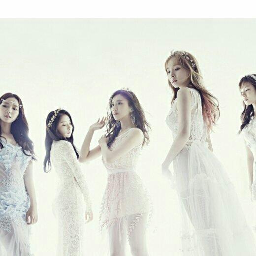 Stellar (수텔라)