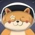 Stardog Lofi