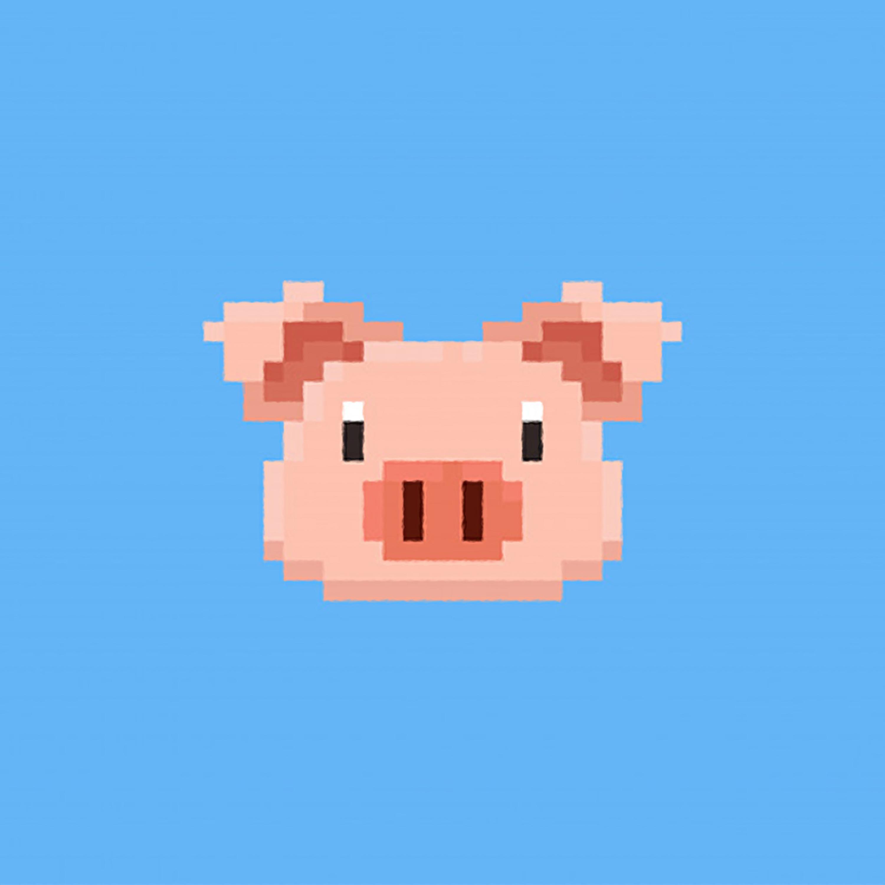 Pixel Pig专辑