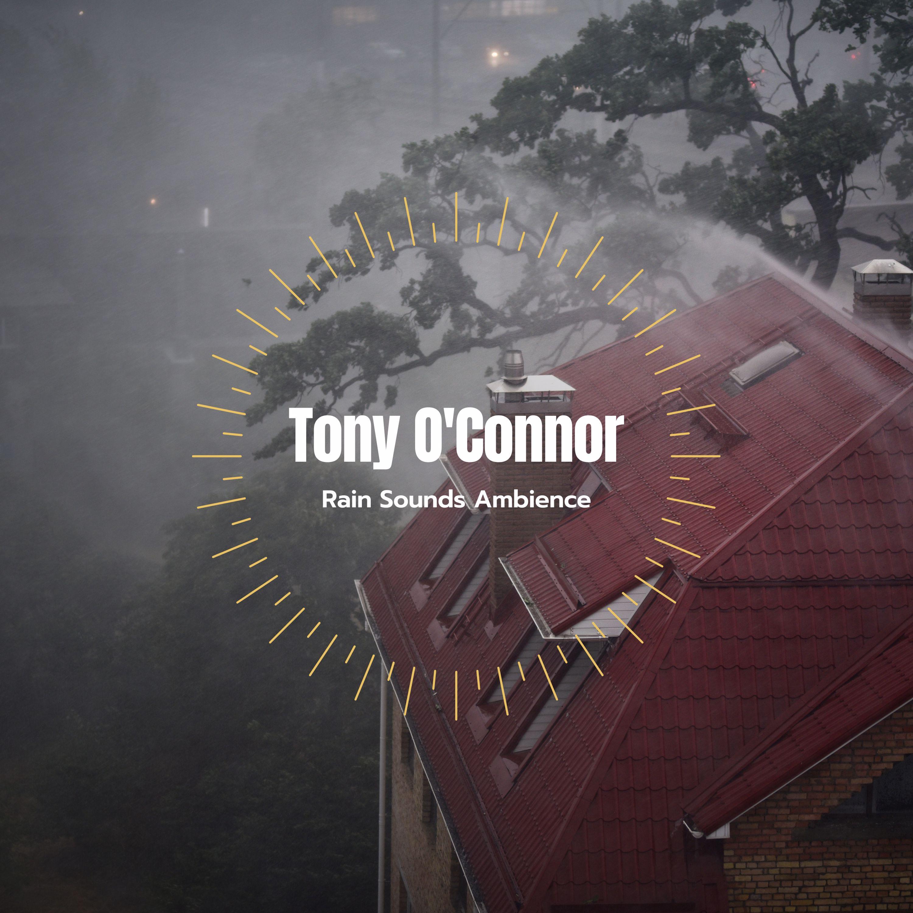 Rain Sounds Ambience