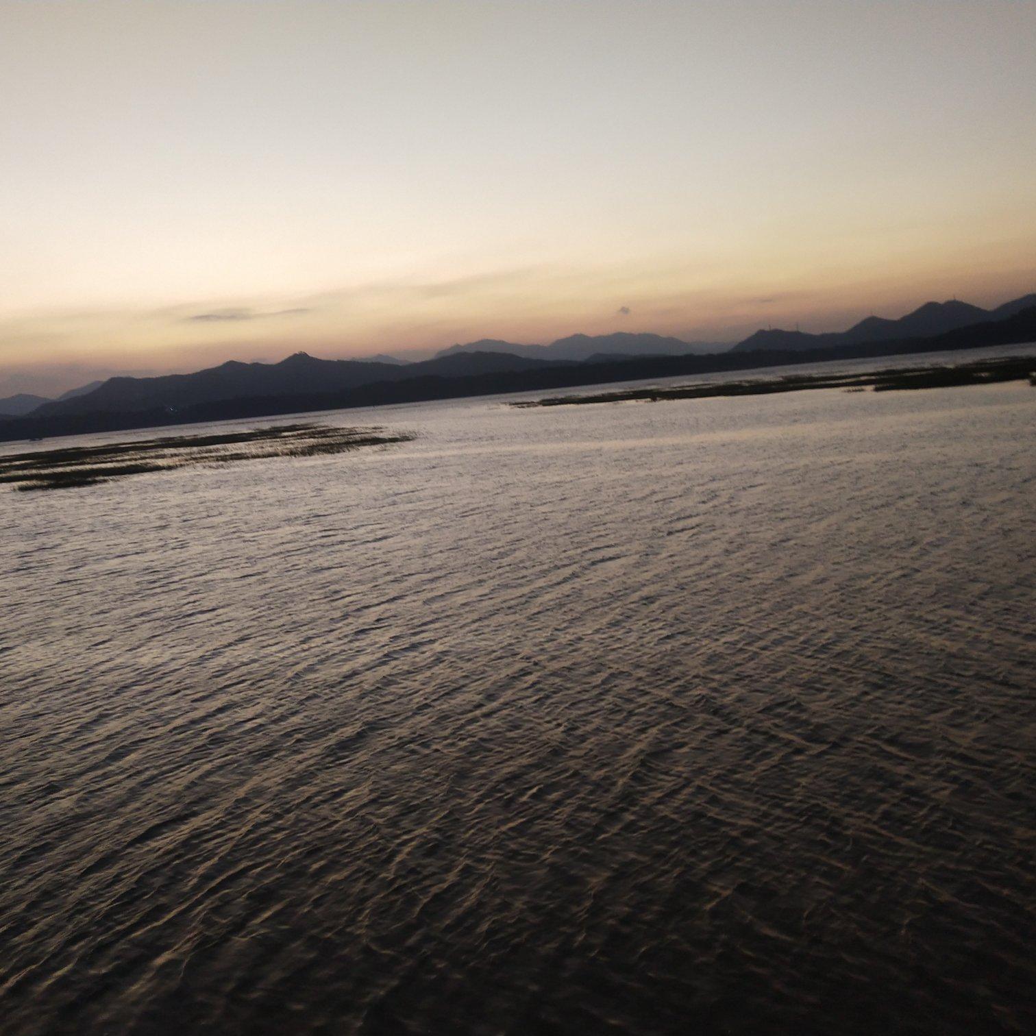 唐古 - 朝思暮想 - 2021 （DJMike Remix）伴奏