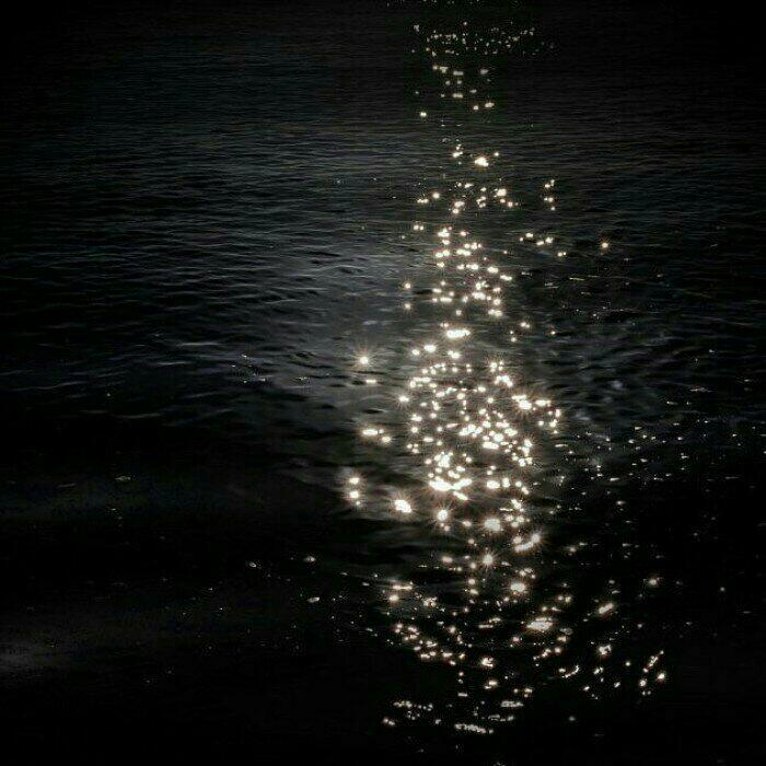 深海翩躚 温柔繾綣 | 在线播放 | 网易云音乐