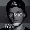 Avicii 28 mashup专辑