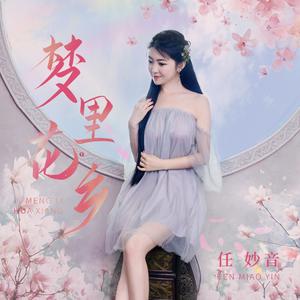任妙音 - 梦里花乡 【伴奏】