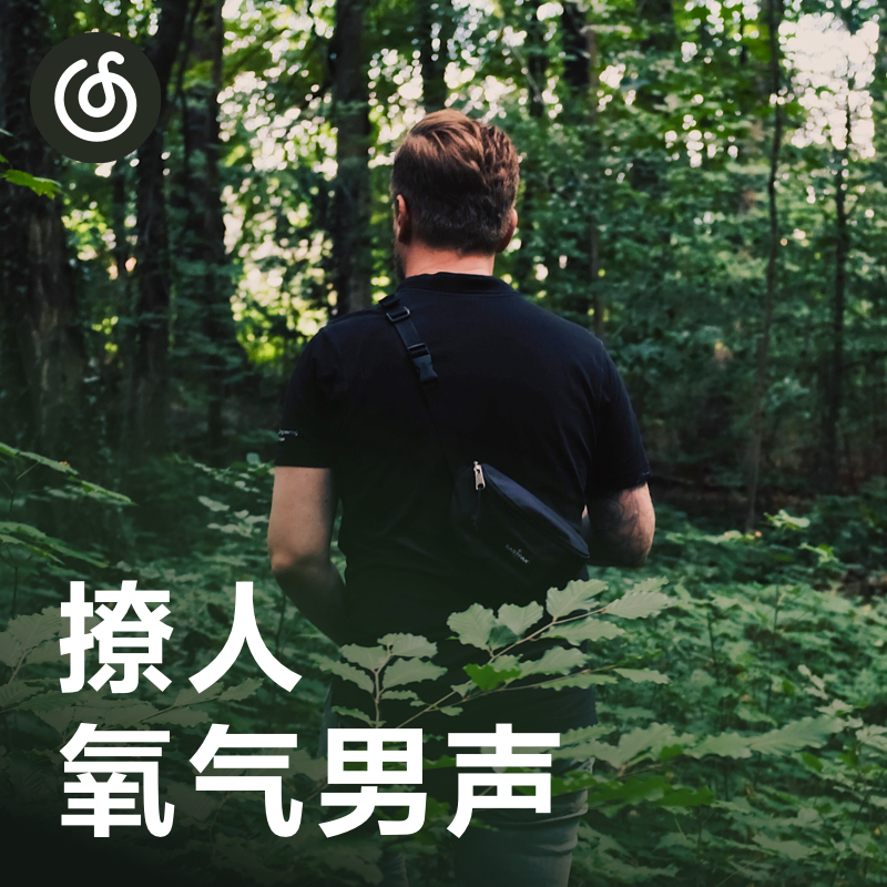 [撩人氧气男声] 听说你缺一首温柔男友音？