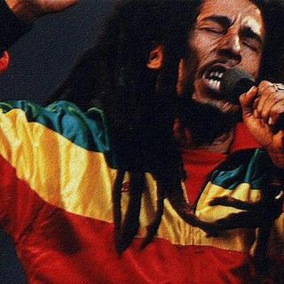 •雷鬼•洗心革面•扎起脏辫