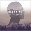 12 Relaxing Rain Noises for Inner Peace专辑