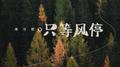只等风停专辑