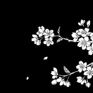 新古典 我的孤独是一座花园