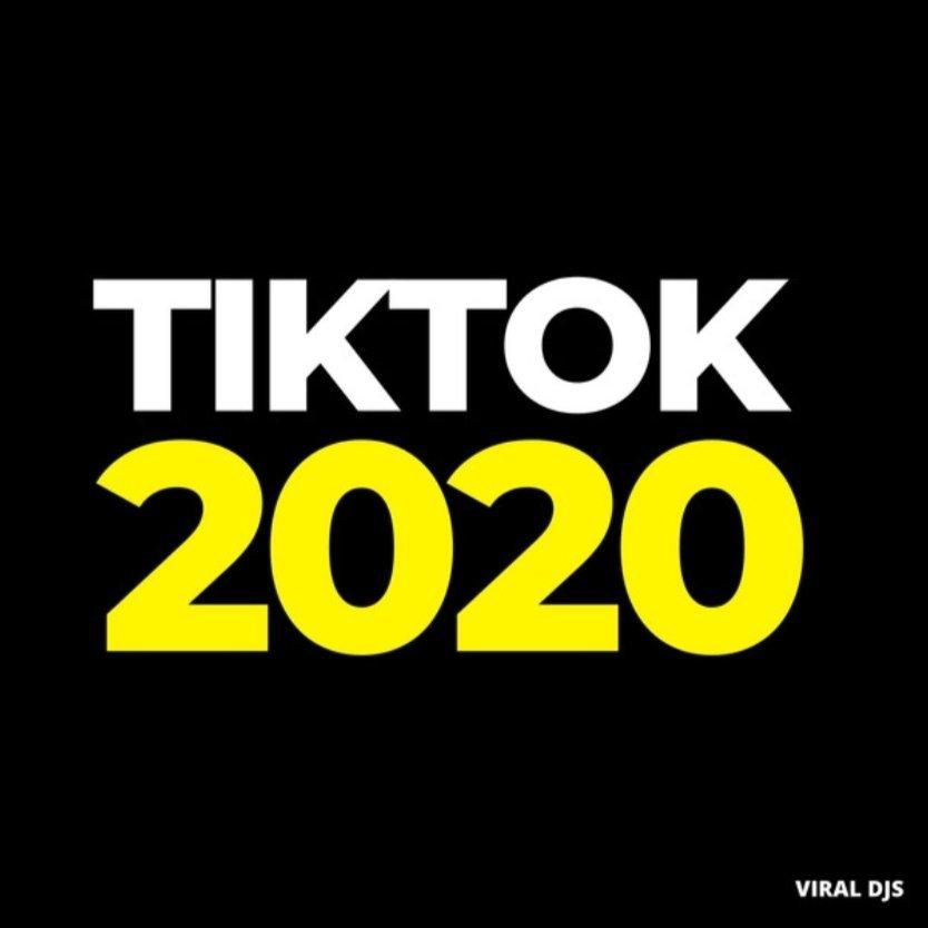 Tiktok 2020年度热单
