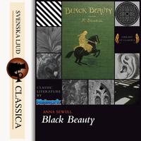 12 Black Beauty (Instrumental)