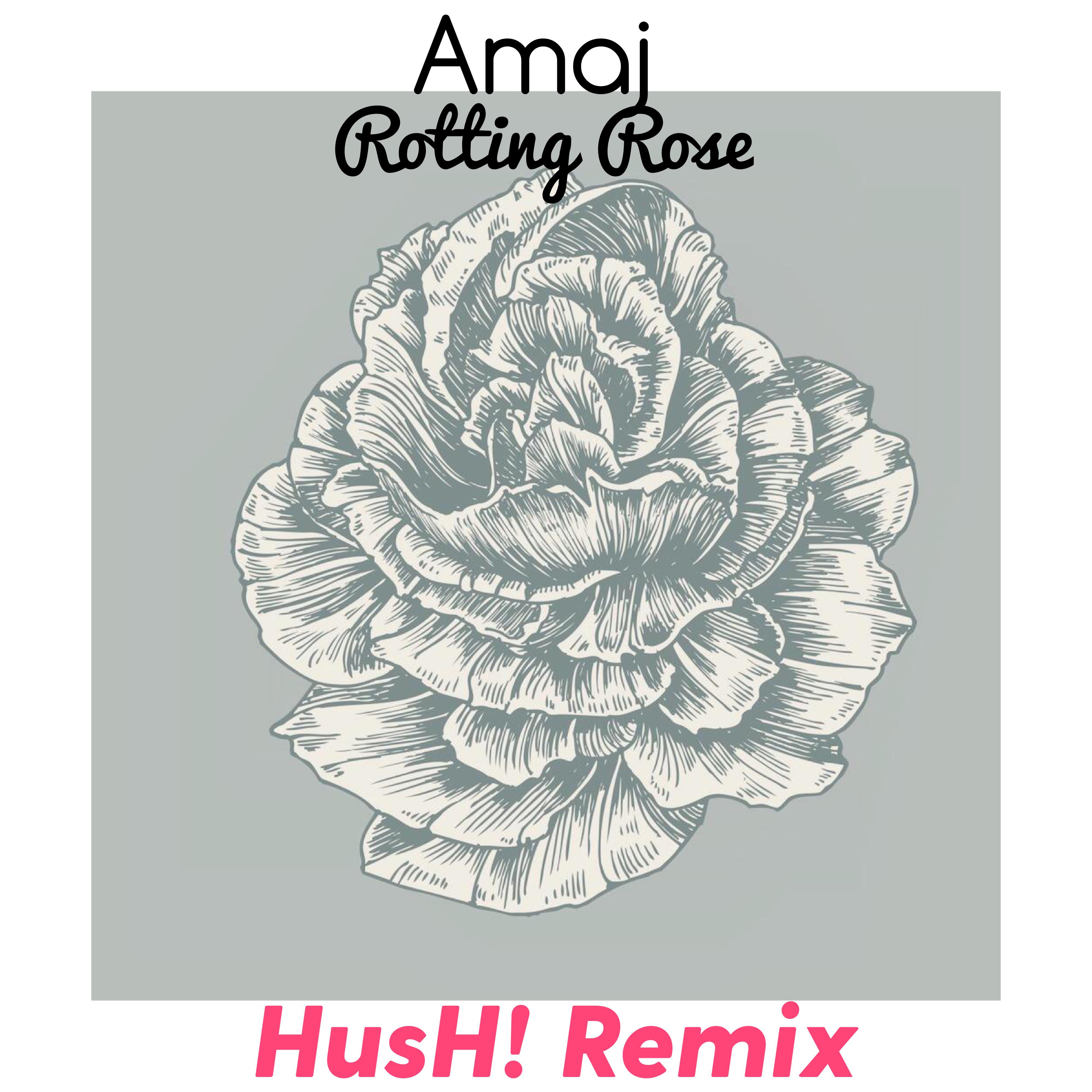 Rotting Rose(HusH! Remix)专辑
