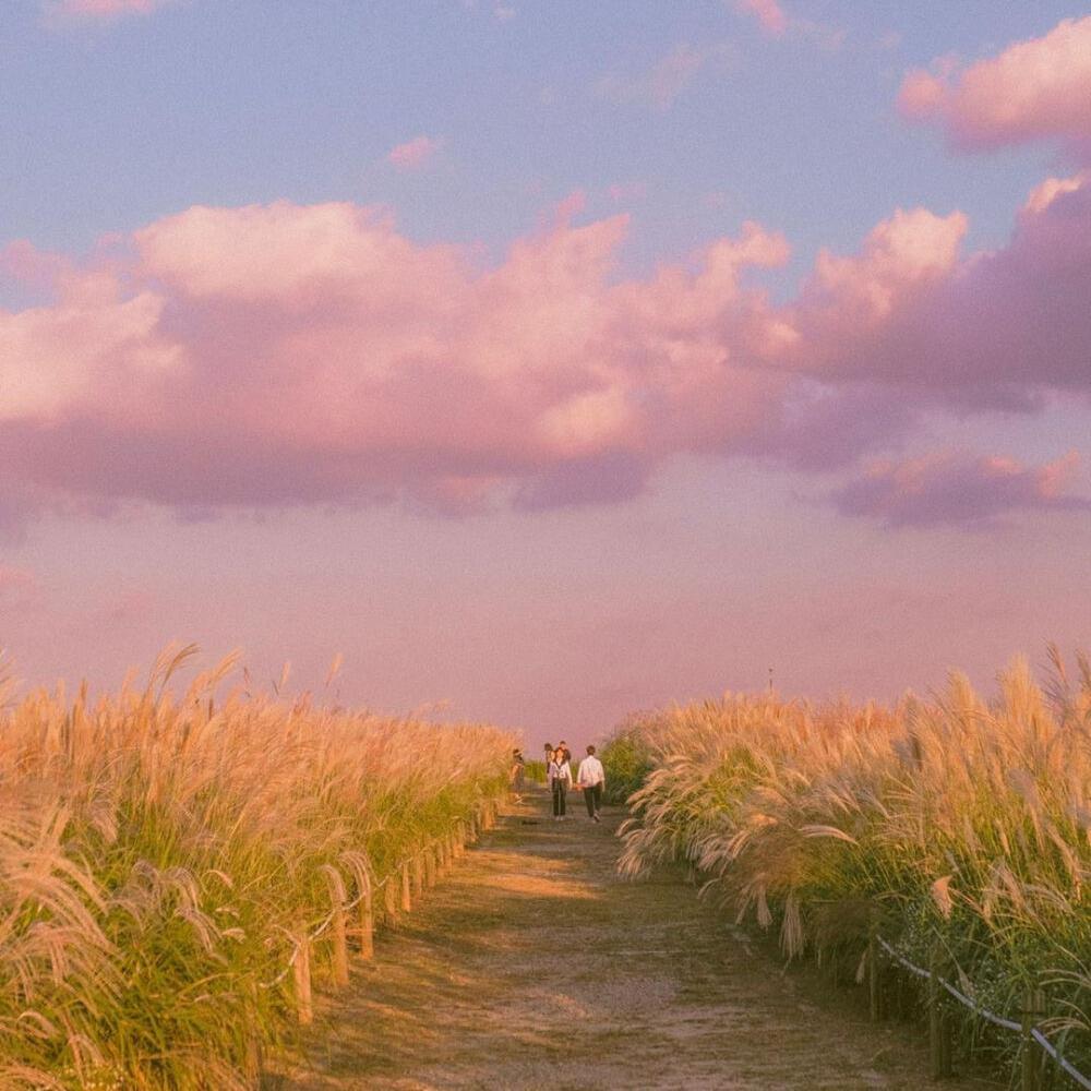 相逢如初见,回首是一生