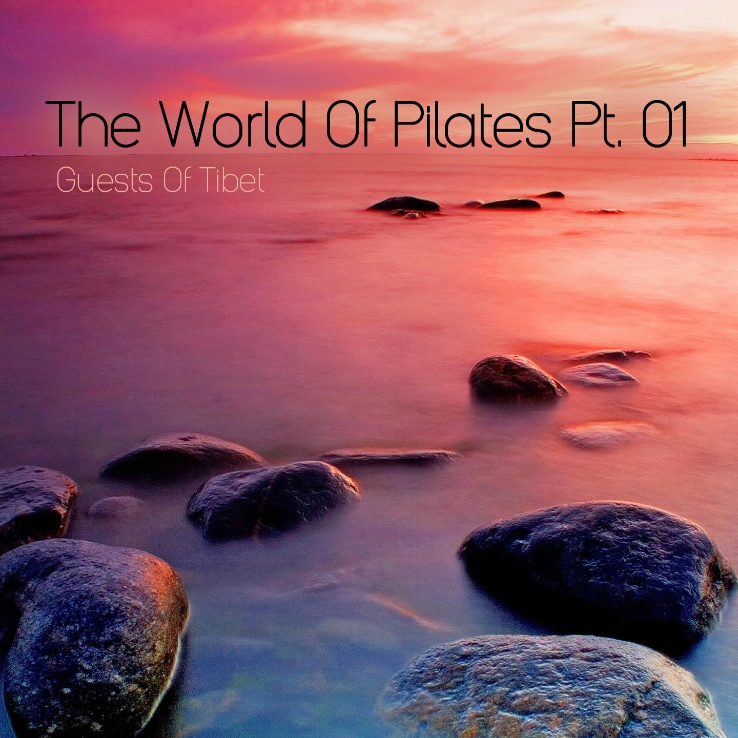 The World of Pilates, Pt. 1