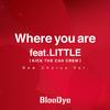 BlooDye - Where you are (New Chorus Ver.)
