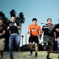 Zebrahead