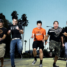 Zebrahead