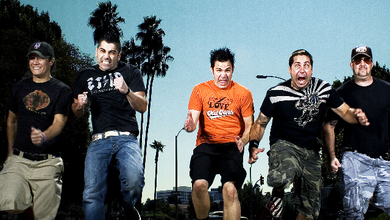 Zebrahead