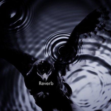 Reverb ジャケA
