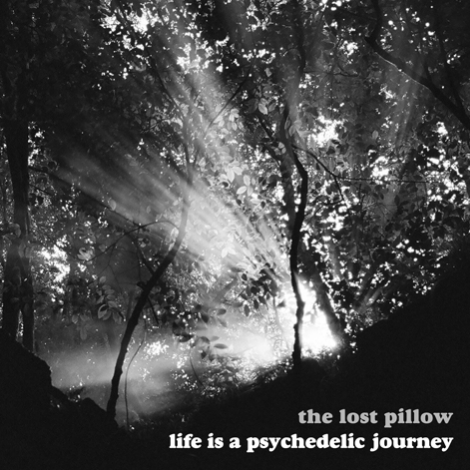 Life is a psychedelic journey